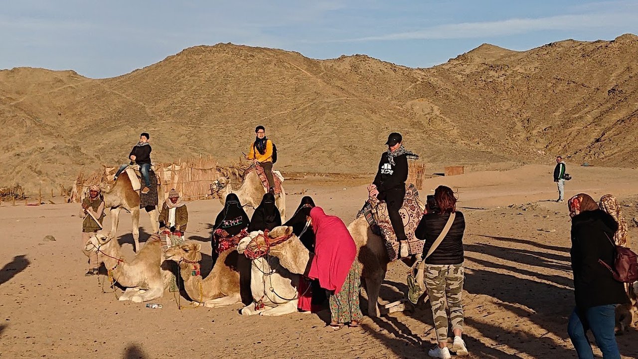 camel-ride