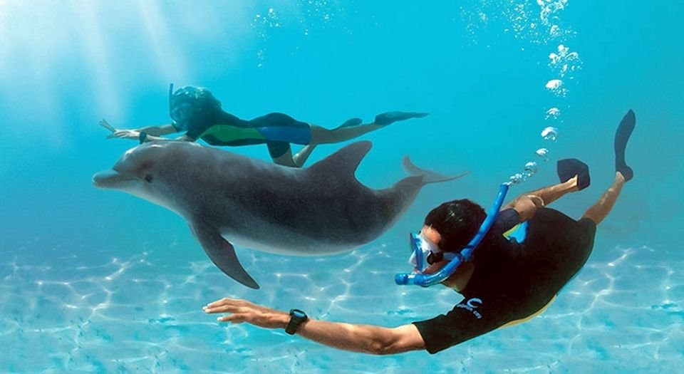 dolphin-house-hurghada-5